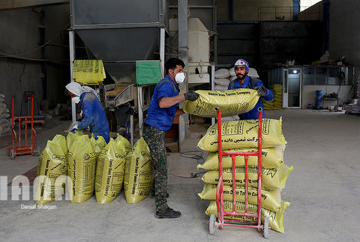 افزایش قیمت نهاده‌های دام و طیور 