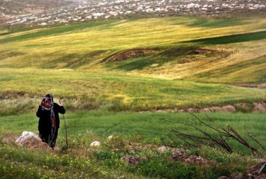 تخریب منابع طبیعی خراسان شمالی کمتر شد
