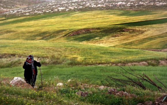 تخریب منابع طبیعی خراسان شمالی کمتر شد