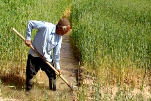 89 درصد بخش زراعت استان اصفهان مکانیزه است