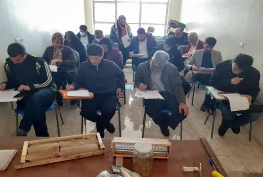 توسعه زنبورداری موثردراشتغال و تقویت اقتصاد خانوار روستایی