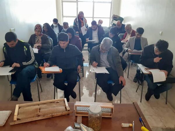 توسعه زنبورداری موثردراشتغال و تقویت اقتصاد خانوار روستایی