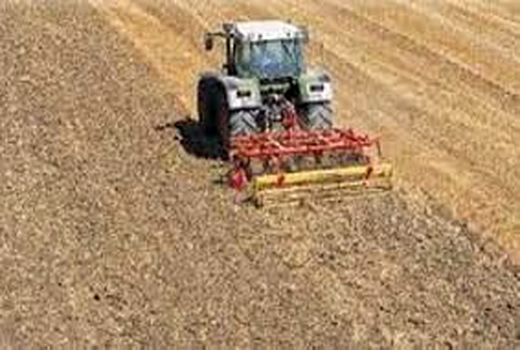 کشت حفاظتی در 24 هزار هکتار از اراضی کشاورزی چهارمحال و بختیاری انجام شد