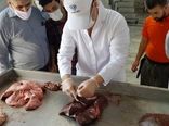 کاهش ۷۵ درصدی عرضه و کشتار دام عید قربان در شهر تهران