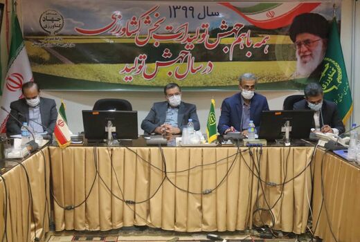 عملیاتی شدن کشت قراردادی کلزا در خوزستان