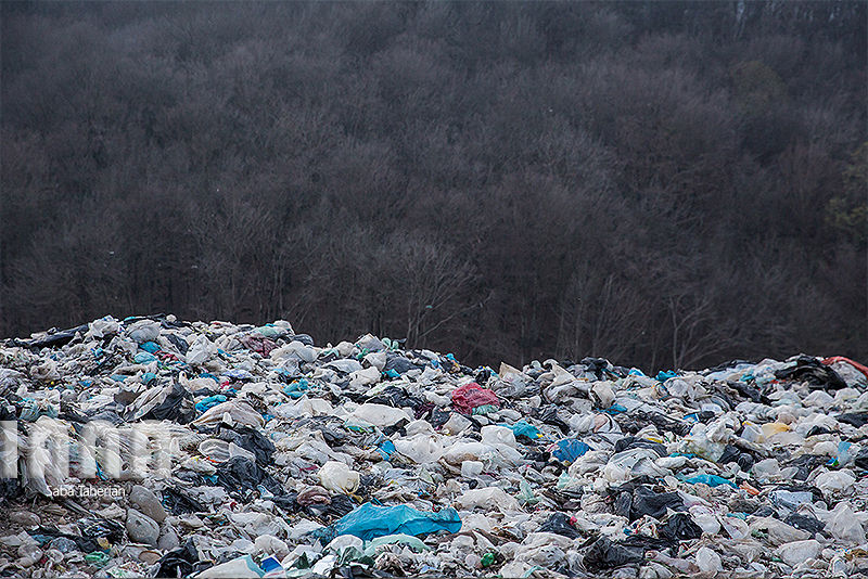 زباله دانی به وسعت یک جنگل