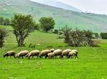 آینده تنوع زیستی در دستان کشاورزان آگاه