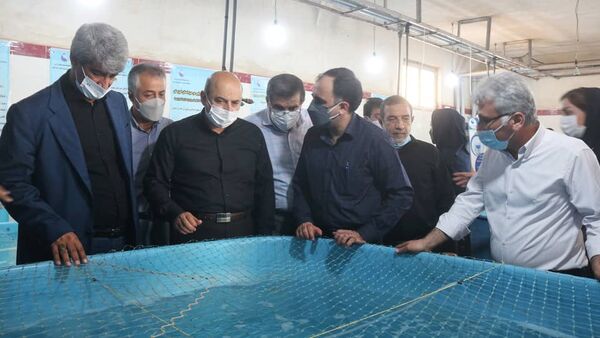 دستیابی به بیوتکنیک بچه ماهی سی باس آسیایی در خوزستان 