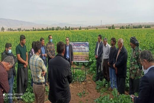 برگزاری رویداد ترویجی در شهرستان دهلران