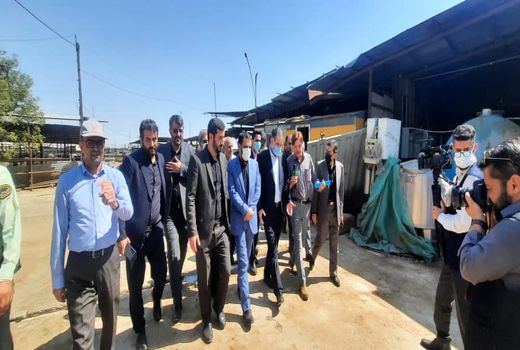 بازدید وزیر جهاد کشاورزی از دامداری ۵۵۰۰راسی گاو شیری در اسلامشهر