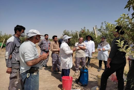 باغداران شهرستان آبیک با روش های بیولوژیک مبارزه با علف های هرز در باغات آشنا شدند
