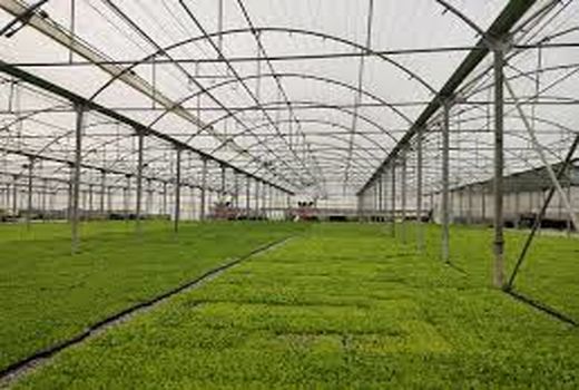 افتتاح و بهره‌برداری از طرح‌های بخش کشاورزی در هفته دولت