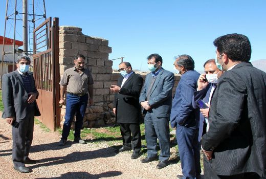 ۲۵۰ هزار قطعه مرغ در واحد‌های تولیدی خرم‌آباد