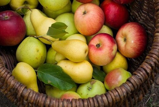 درآمد یک و نیم میلیارد دلاری کشور از صادرات سیب، بِه و گلابی