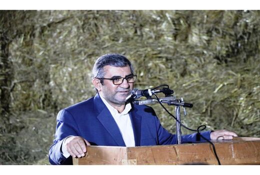 تامین مواد اولیه صنعت دامپروری در مازندران سبب پایداری صنعت دامپروری