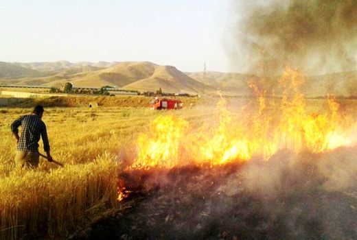 ضرورت حفظ بقایای گیاهی و مضرات آتش زدن کاه و کلش بعد از برداشت محصول از سطح مزارع