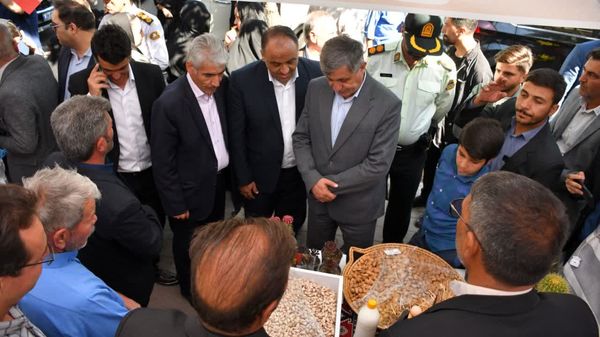 نخستین جشنواره بادام خسروشاه با هدف توسعه کشت کمآببر برگزار شد
