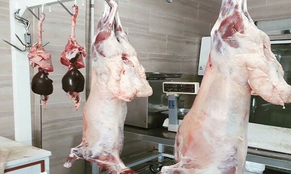 پلمب 20 واحد عرضه گوشت قرمز در چهارمحال و بختیاری