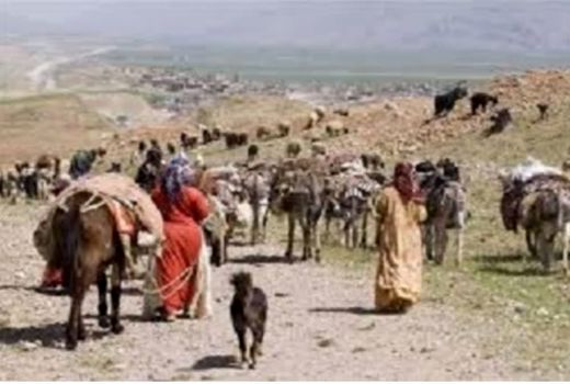 کوچ عشایر ایلام به مناطق قشلاقی آغاز شد