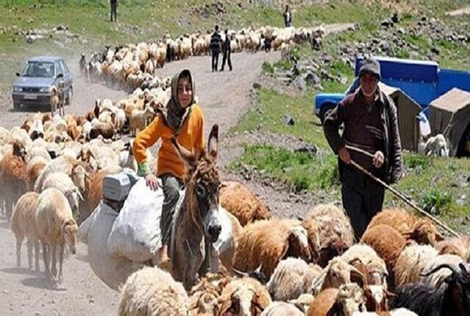  5 هزار خانوار عشایری خراسان‌شمالی راهی ییلاق شدند