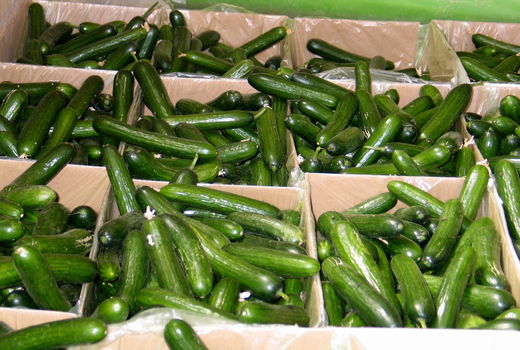 تولید سه هزار تن محصول گلخانه‌ای در ابرکوه