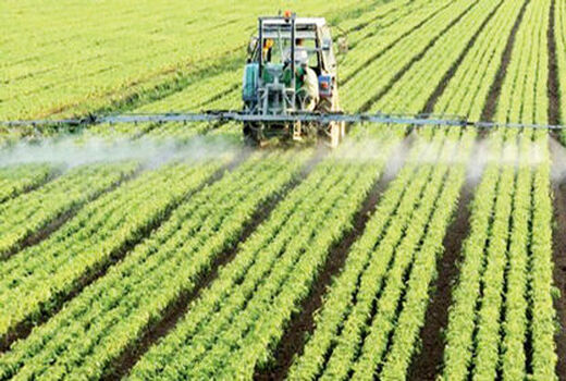 لزوم اجرای طرح کشاورزی قراردادی در خراسان شمالی