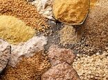 میانگین عملکرد غلات ایران ۲.۷ تن در هکتار؛ فاصله معنادار با کشورهای پیشرو 