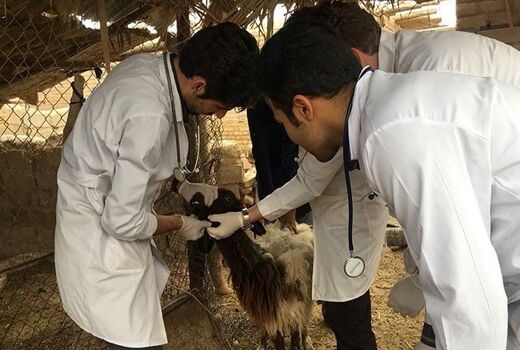 «یاوران تولید»، پل ارتباطی بخش تحقیقات کشاورزی با بهره‌برداران