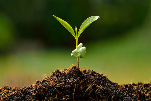 پیشنهاد تشکیل شورای عالی خاک به ریاست رئیس جمهور