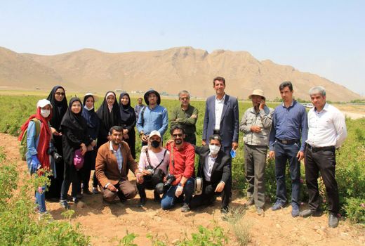 تور رسانه ای برداشت و کیل گیری محصول گل محمدی