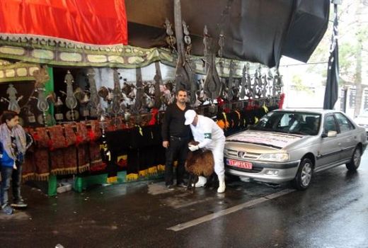 طرح نظارت بهداشتی و شرعی بر دام های قربانی در تاسوعا و عاشورای حسینی اجرا می شود