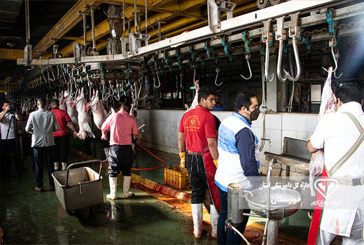 فعالیت 86 اکیپ ثابت و سیار دامپزشکی در تاسوعا و عاشورا حسینی در خوزستان