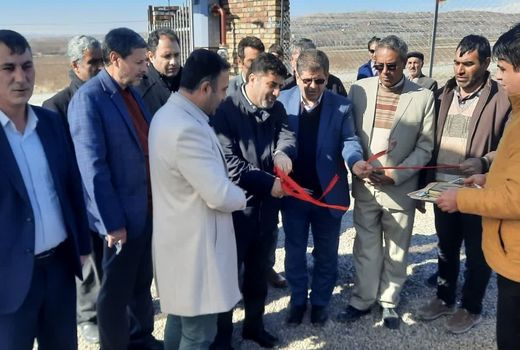 افتتاح گلخانه هیدروپونیک توت فرنگی در میانه