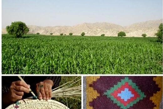 راه‌اندازی 11 صندوق خرد زنان در شهرستان آبدانان