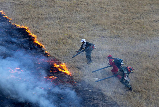 ۷۰۰ هکتار از اراضی ملی قزوین امسال دچار آتش‌سوزی شدند