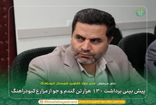 پیش‌بینی برداشت ۱۳۰ هزار تن گندم و جو از مزارع کبودراهنگ 