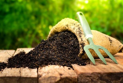 صرفه‌جویی بیش از دو هزار تن آرد با اجرای طرح هوشمندسازی یارانه نان در خوزستان
