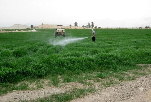 ترویج قارچ‌کش‌ها و ریزمغذی‌ها در قیروکارزین