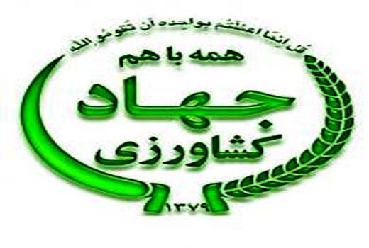 برگزاری کارگاه آموزشی بهبود تغذیه در شهرستان کنگان