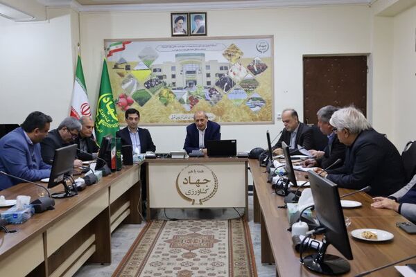 وجود بیش از ۷ میلیون واحد دامی در آذربایجان شرقی؛ اهتمام سازمان بر  توسعه دامداری‌های روستایی