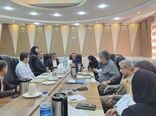 تعیین تکلیف ۲۹ پرونده در کمیسیون هیات نظارت ماده ۳۳ استان بوشهر