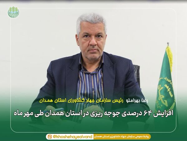 افزایش ۶۴ درصدی جوجه‌ریزی در استان همدان طی مهرماه