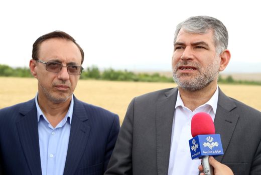 پیش‌بینی ۲ هزار میلیارد تومان اعتبار به بخش کشاورزی استان خراسان شمالی/ کشت قراردادی پنبه در خراسان شمالی توسعه یابد