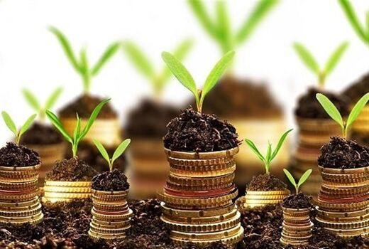 حمایت از شرکت‌های دانش بنیان در شبکه تعاونی‌های روستایی کشور