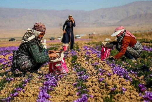  شبکه ملی تعاونی‌های زنان تشکیل می‌شود/ فعالیت ۱۷۷ تعاونی زنان در کشور