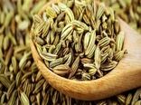 پیش بینی تولید بالغ بر 10 هزار تن در خراسان رضوی