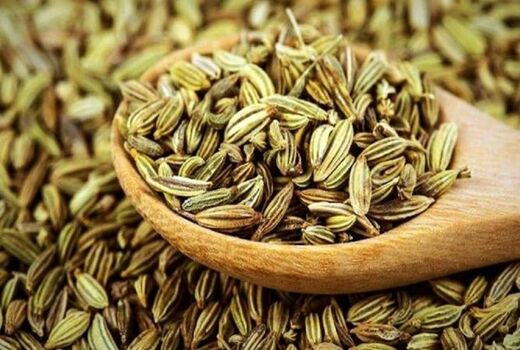 پیش بینی تولید بالغ بر 10 هزار تن در خراسان رضوی