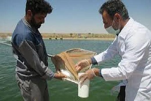 اجرای طرح پایش باقیمانده‌ها در مراکز پرورش ماهی کردستان