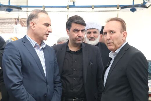 بازدید معاون وزارت جهاد کشاورزی از مجتمع سورت و بسته‌بندی گوجه‌فرنگی در تاکستان
