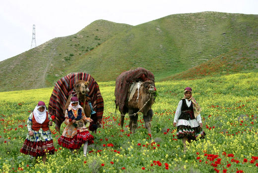 حمایت از فرزندان عشایر برای ایجاد شرکت‌های دانش‌بنیان
